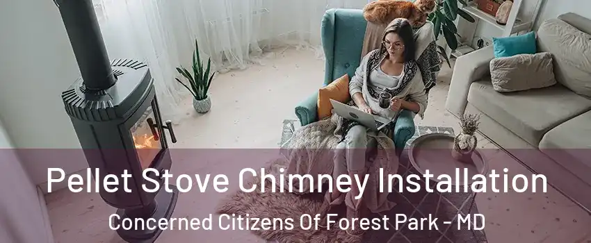 Pellet Stove Chimney Installation Concerned Citizens Of Forest Park - MD