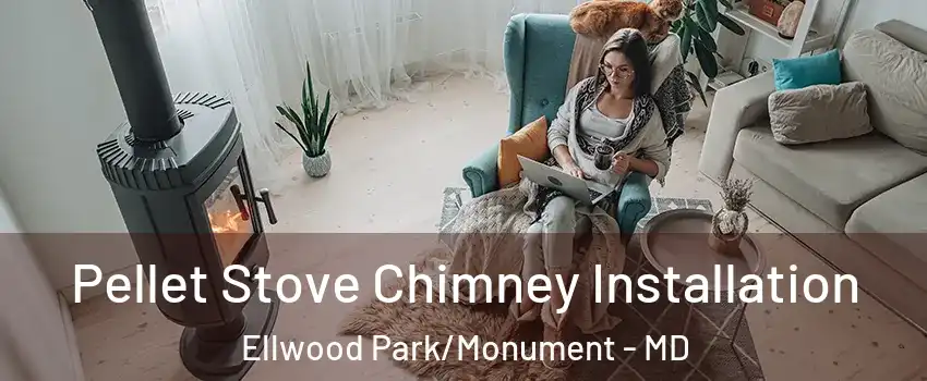 Pellet Stove Chimney Installation Ellwood Park/Monument - MD