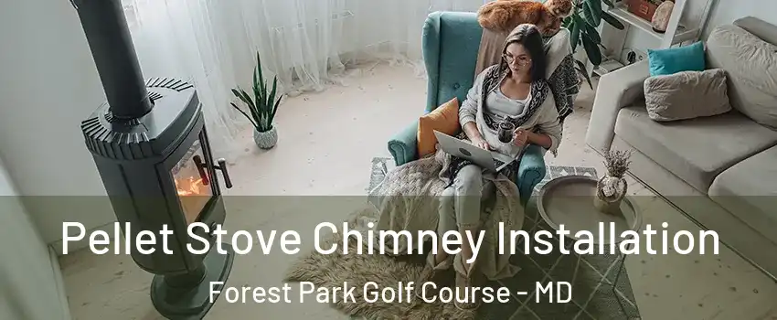 Pellet Stove Chimney Installation Forest Park Golf Course - MD