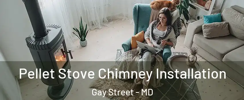 Pellet Stove Chimney Installation Gay Street - MD