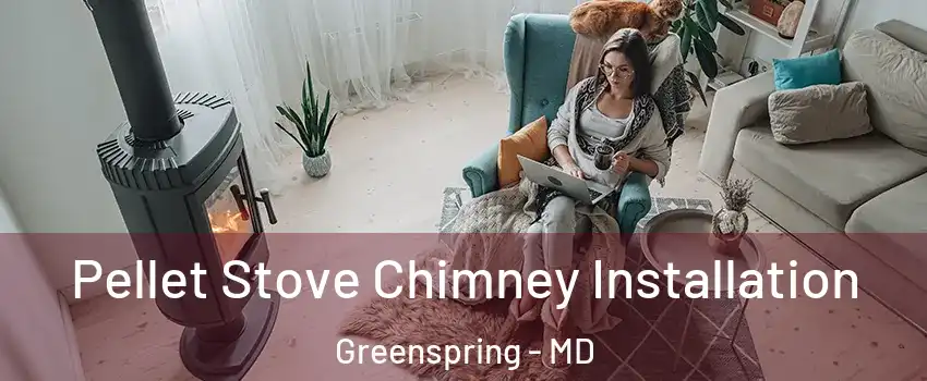 Pellet Stove Chimney Installation Greenspring - MD