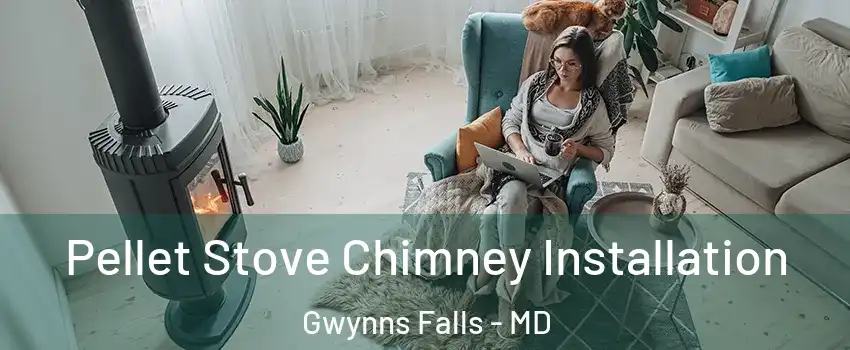 Pellet Stove Chimney Installation Gwynns Falls - MD