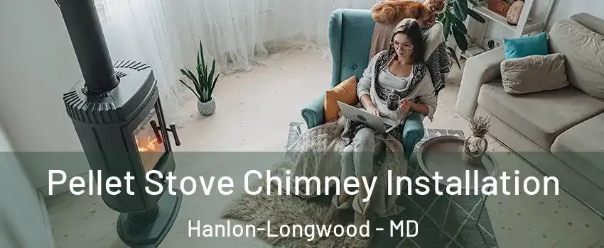 Pellet Stove Chimney Installation Hanlon-Longwood - MD