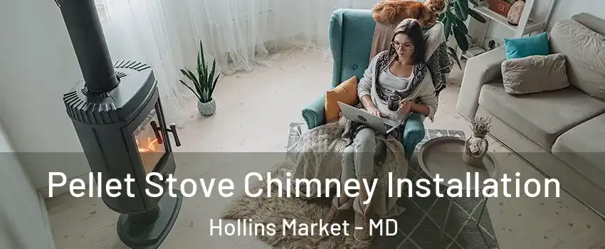 Pellet Stove Chimney Installation Hollins Market - MD