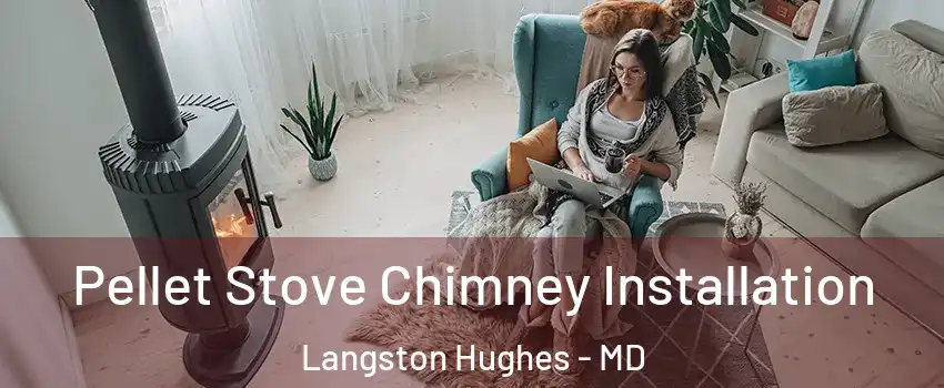 Pellet Stove Chimney Installation Langston Hughes - MD