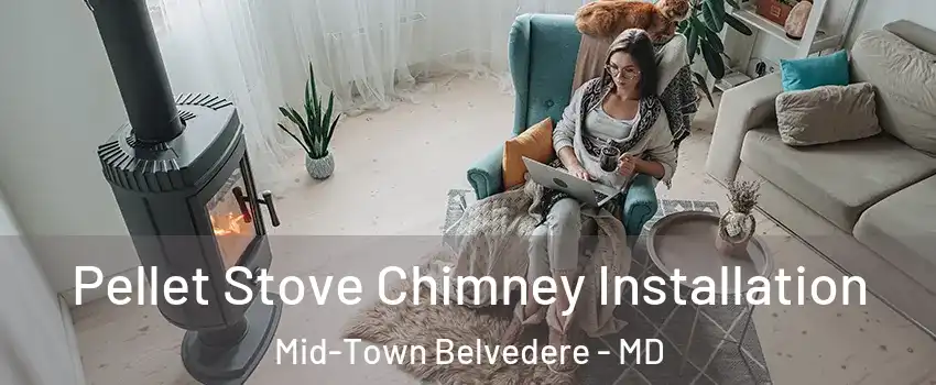 Pellet Stove Chimney Installation Mid-Town Belvedere - MD