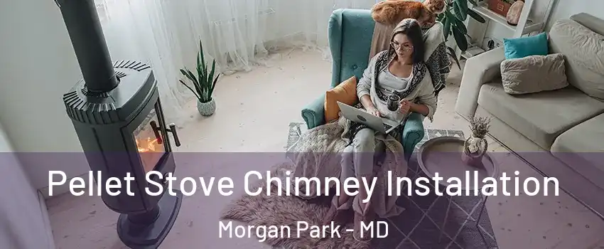 Pellet Stove Chimney Installation Morgan Park - MD