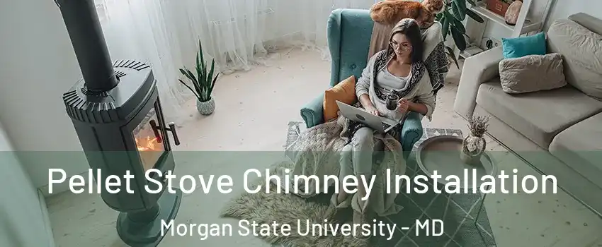 Pellet Stove Chimney Installation Morgan State University - MD