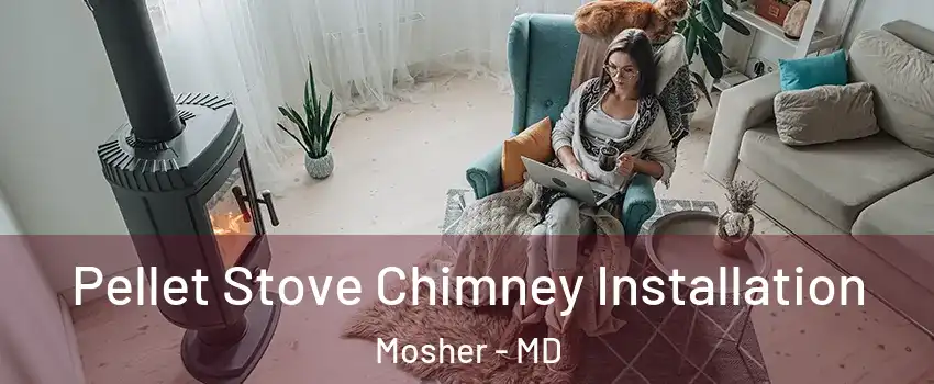 Pellet Stove Chimney Installation Mosher - MD