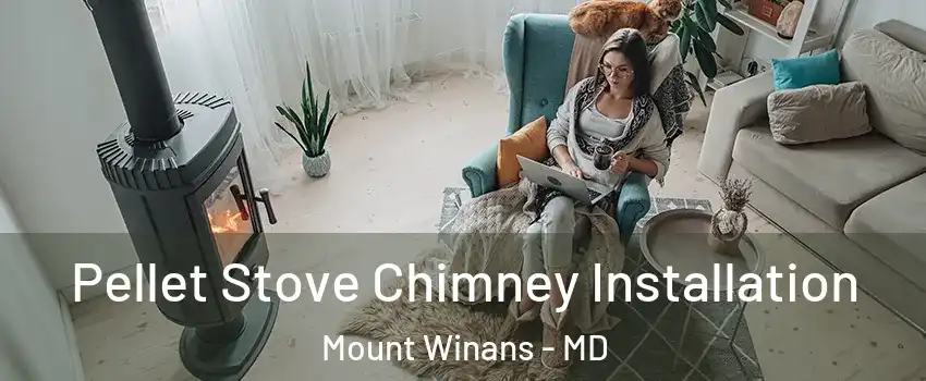 Pellet Stove Chimney Installation Mount Winans - MD