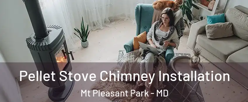 Pellet Stove Chimney Installation Mt Pleasant Park - MD