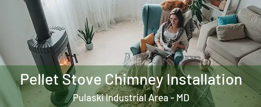 Pellet Stove Chimney Installation Pulaski Industrial Area - MD