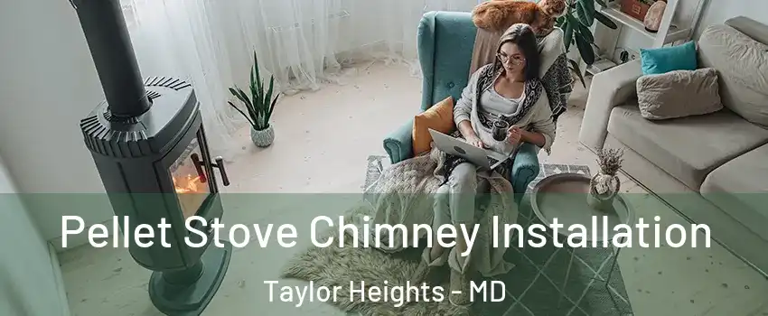 Pellet Stove Chimney Installation Taylor Heights - MD