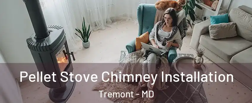 Pellet Stove Chimney Installation Tremont - MD