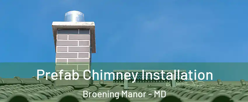 Prefab Chimney Installation Broening Manor - MD