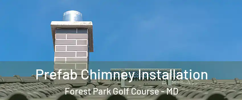 Prefab Chimney Installation Forest Park Golf Course - MD