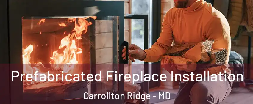 Prefabricated Fireplace Installation Carrollton Ridge - MD