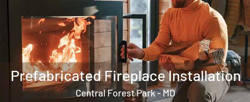Prefabricated Fireplace Installation Central Forest Park - MD