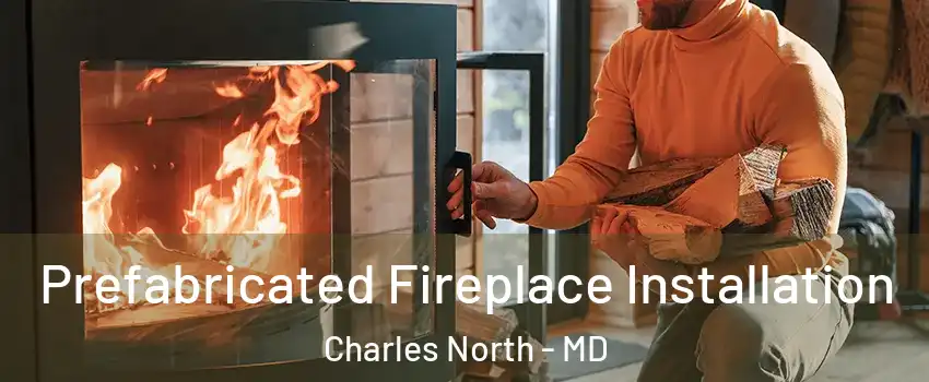 Prefabricated Fireplace Installation Charles North - MD