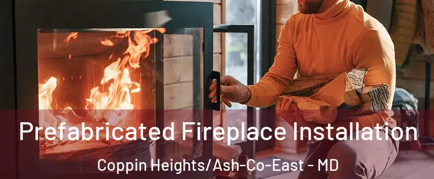 Prefabricated Fireplace Installation Coppin Heights/Ash-Co-East - MD