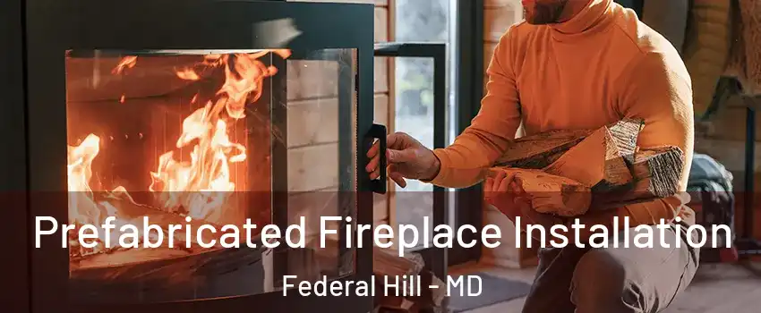 Prefabricated Fireplace Installation Federal Hill - MD