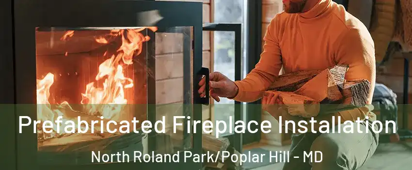 Prefabricated Fireplace Installation North Roland Park/Poplar Hill - MD
