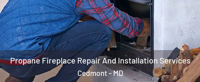 Propane Fireplace Repair And Installation Services Cedmont - MD