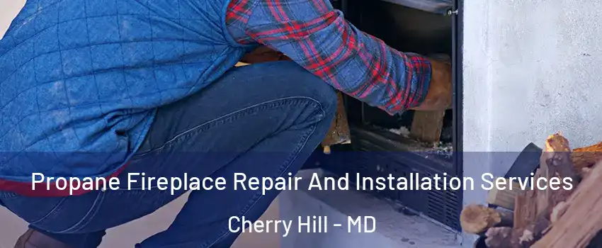 Propane Fireplace Repair And Installation Services Cherry Hill - MD