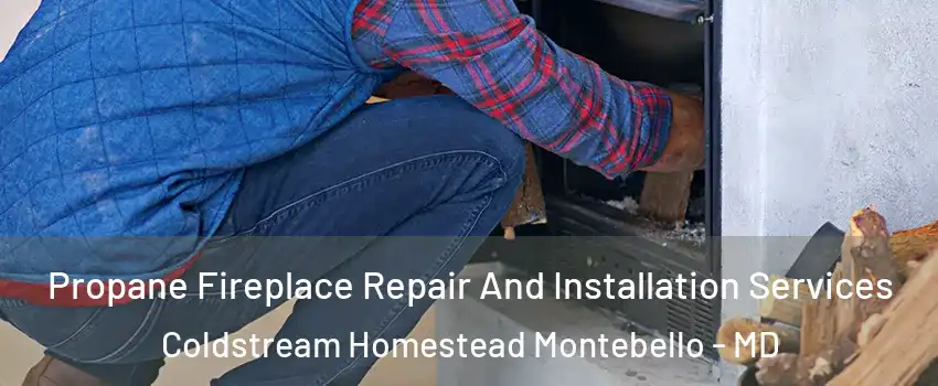 Propane Fireplace Repair And Installation Services Coldstream Homestead Montebello - MD