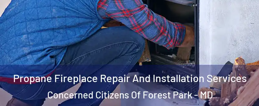 Propane Fireplace Repair And Installation Services Concerned Citizens Of Forest Park - MD
