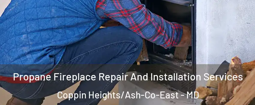 Propane Fireplace Repair And Installation Services Coppin Heights/Ash-Co-East - MD