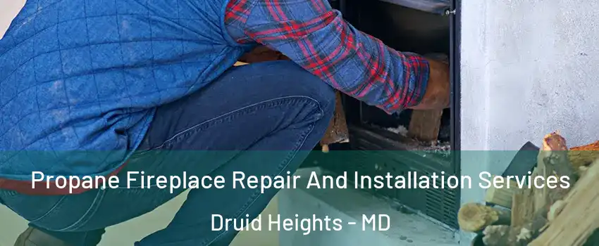 Propane Fireplace Repair And Installation Services Druid Heights - MD