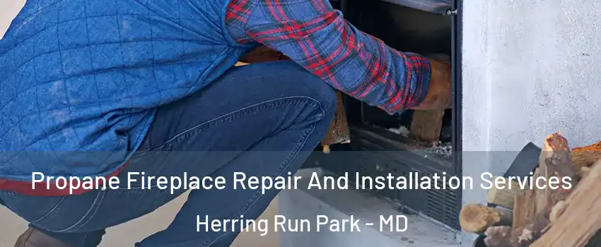 Propane Fireplace Repair And Installation Services Herring Run Park - MD