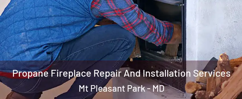 Propane Fireplace Repair And Installation Services Mt Pleasant Park - MD