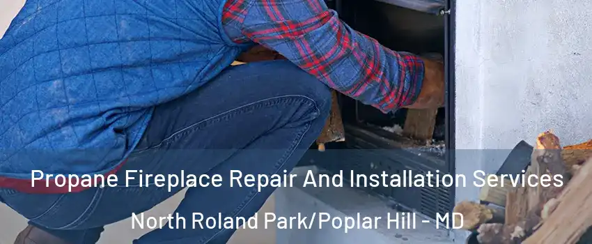 Propane Fireplace Repair And Installation Services North Roland Park/Poplar Hill - MD