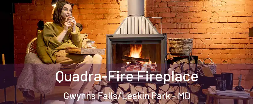 Quadra-Fire Fireplace Gwynns Falls/Leakin Park - MD