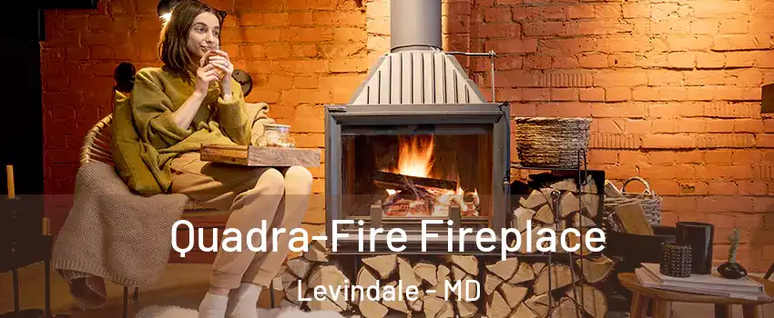 Quadra-Fire Fireplace Levindale - MD