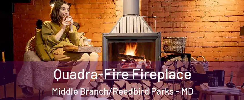 Quadra-Fire Fireplace Middle Branch/Reedbird Parks - MD
