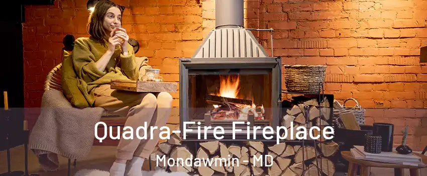 Quadra-Fire Fireplace Mondawmin - MD