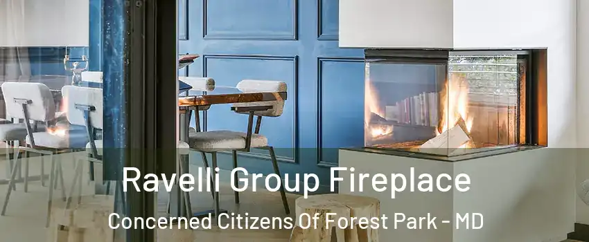 Ravelli Group Fireplace Concerned Citizens Of Forest Park - MD