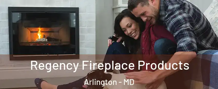 Regency Fireplace Products Arlington - MD