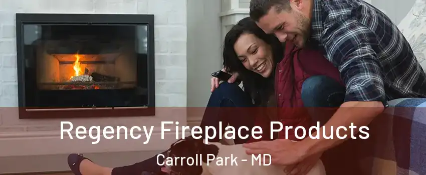Regency Fireplace Products Carroll Park - MD