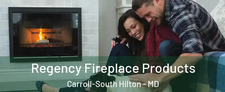 Regency Fireplace Products Carroll-South Hilton - MD