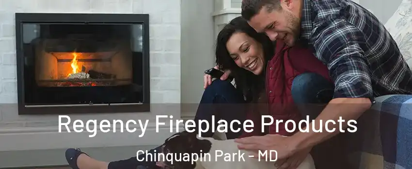 Regency Fireplace Products Chinquapin Park - MD