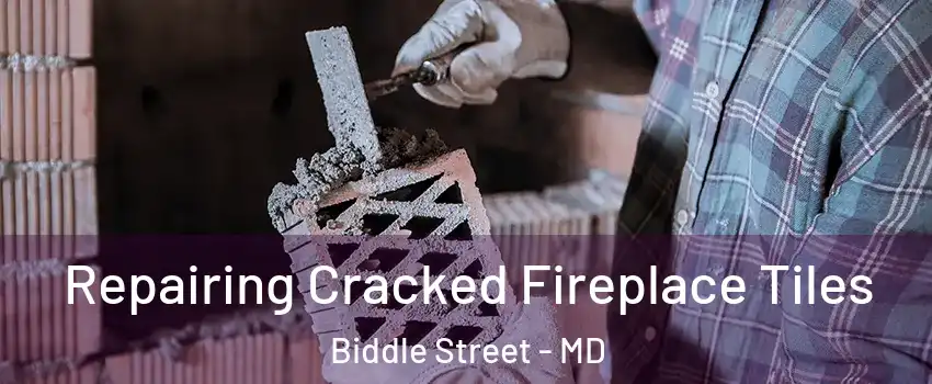 Repairing Cracked Fireplace Tiles Biddle Street - MD