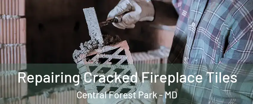 Repairing Cracked Fireplace Tiles Central Forest Park - MD