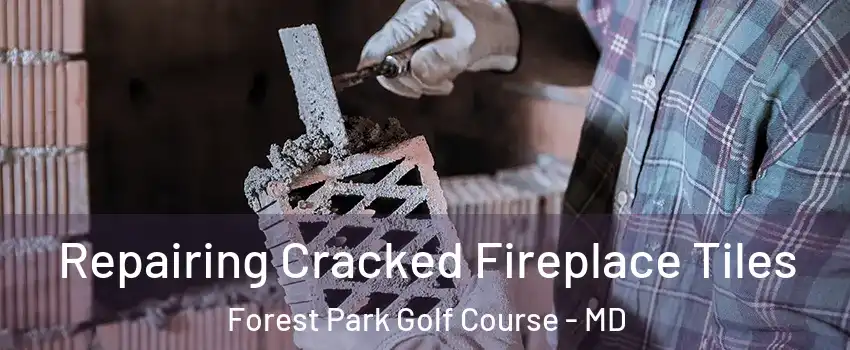 Repairing Cracked Fireplace Tiles Forest Park Golf Course - MD