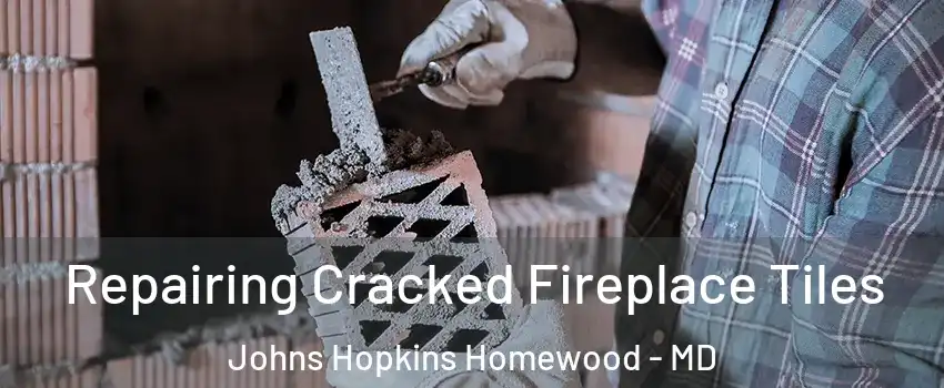 Repairing Cracked Fireplace Tiles Johns Hopkins Homewood - MD