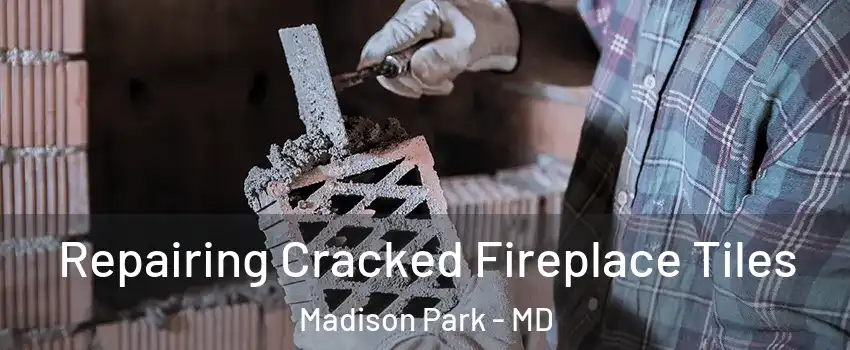 Repairing Cracked Fireplace Tiles Madison Park - MD