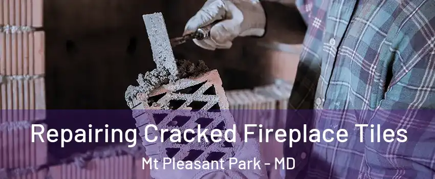Repairing Cracked Fireplace Tiles Mt Pleasant Park - MD